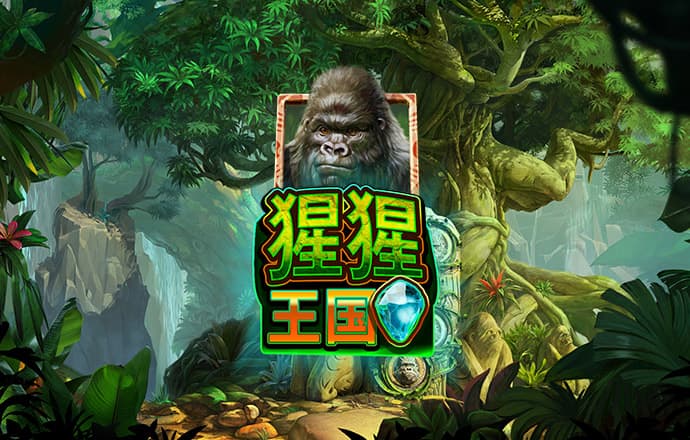 12BeT官网
